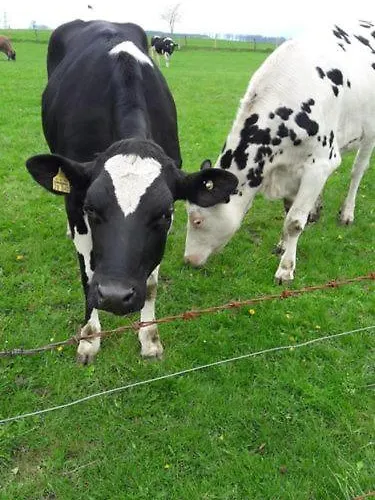 Darge Felbecke Lejlighed Schmallenberg